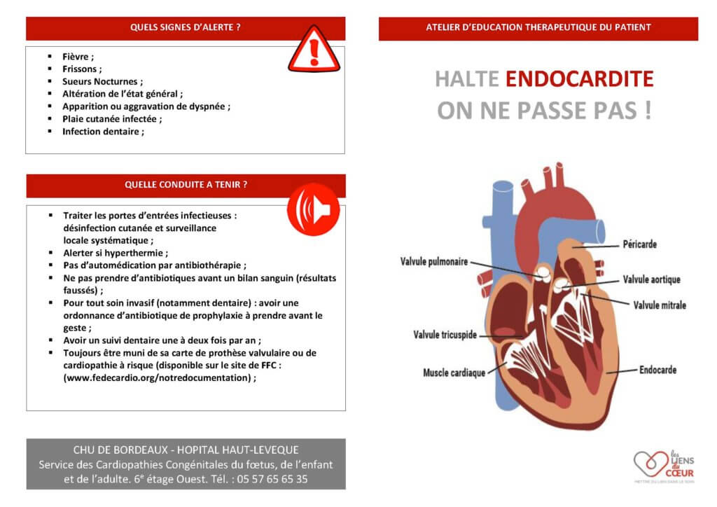 visueleafletetpendocardites