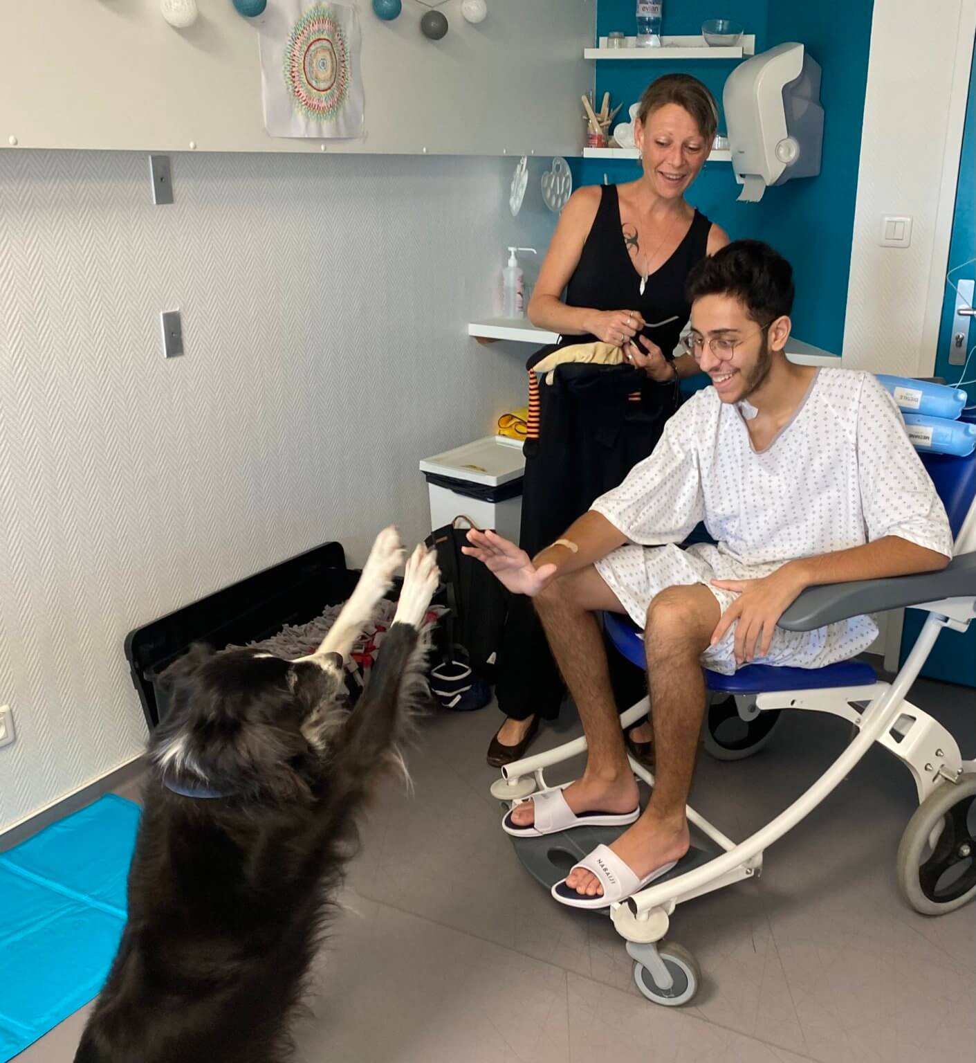 mediationcanine