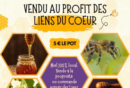 affiche annonce nouveau magasin vente produits miel colore moderne illustration photos formes