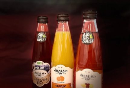 628726847 1204042078559221 8574943443991940665 n